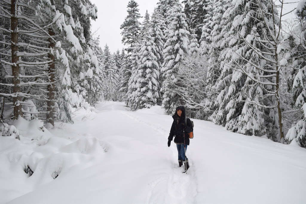 best snow boots for walking