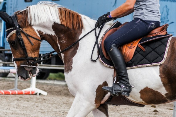 An In Depth Review of the Best Riding Boots of 2018