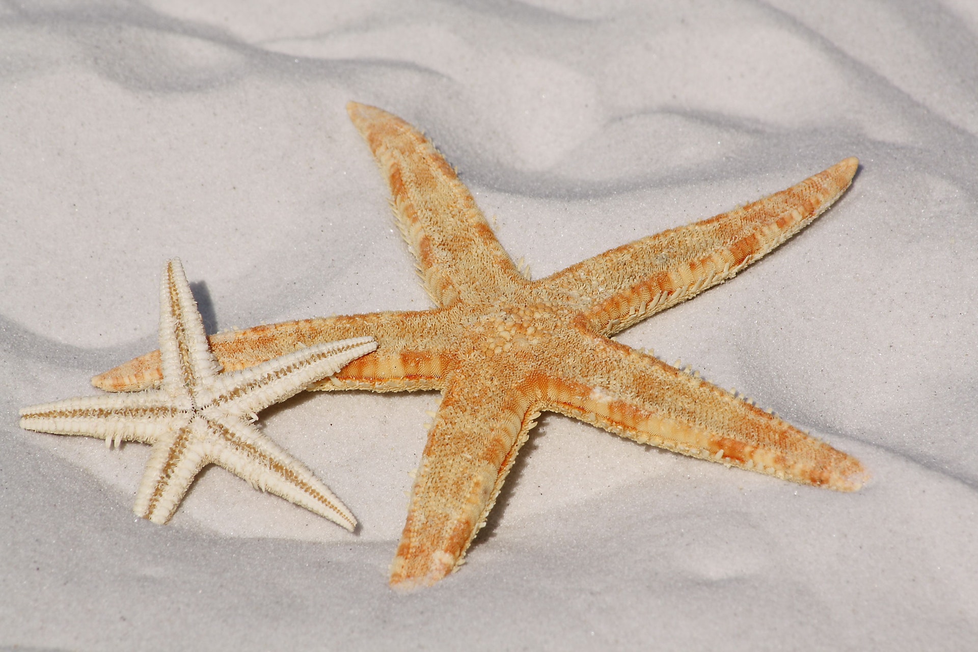 In Rated Starfish 2019Walkjogrun 10 Best Shoes Reviewedamp; dBCoerx