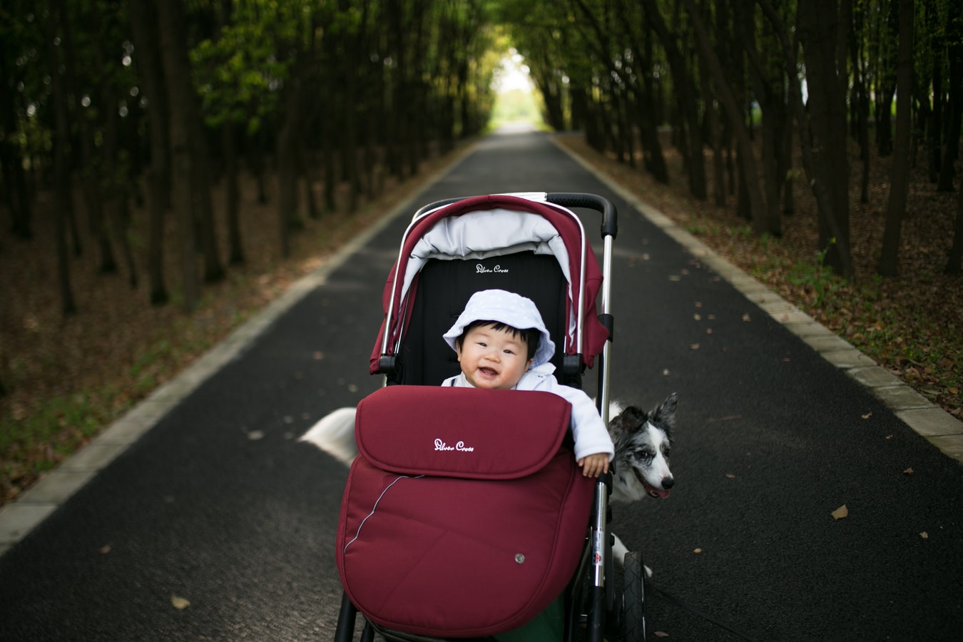a baby in a jogging stroller on the road