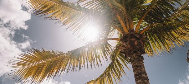 best sunscreen for runners face
