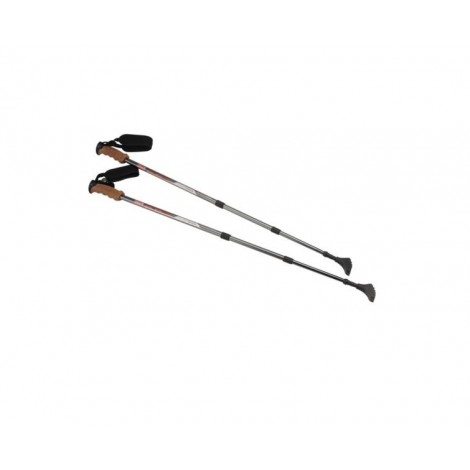 coleman best trekking poles reviews