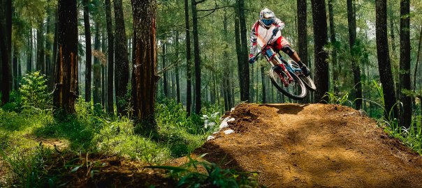 10 Best Mountain Bikes and Trail Bikes Reviewed in 2024 WalkJogRun