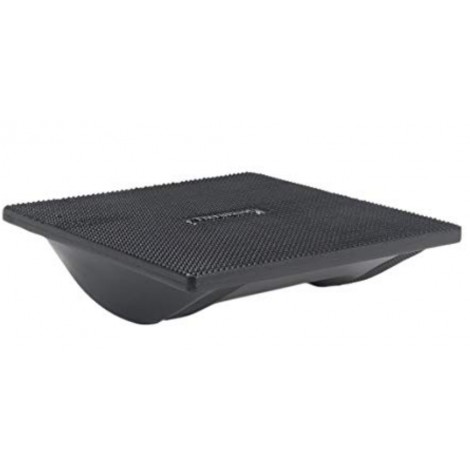 TheraBand Rocker best wobble board