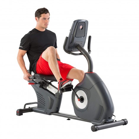 Schwinn Recumbent Bike