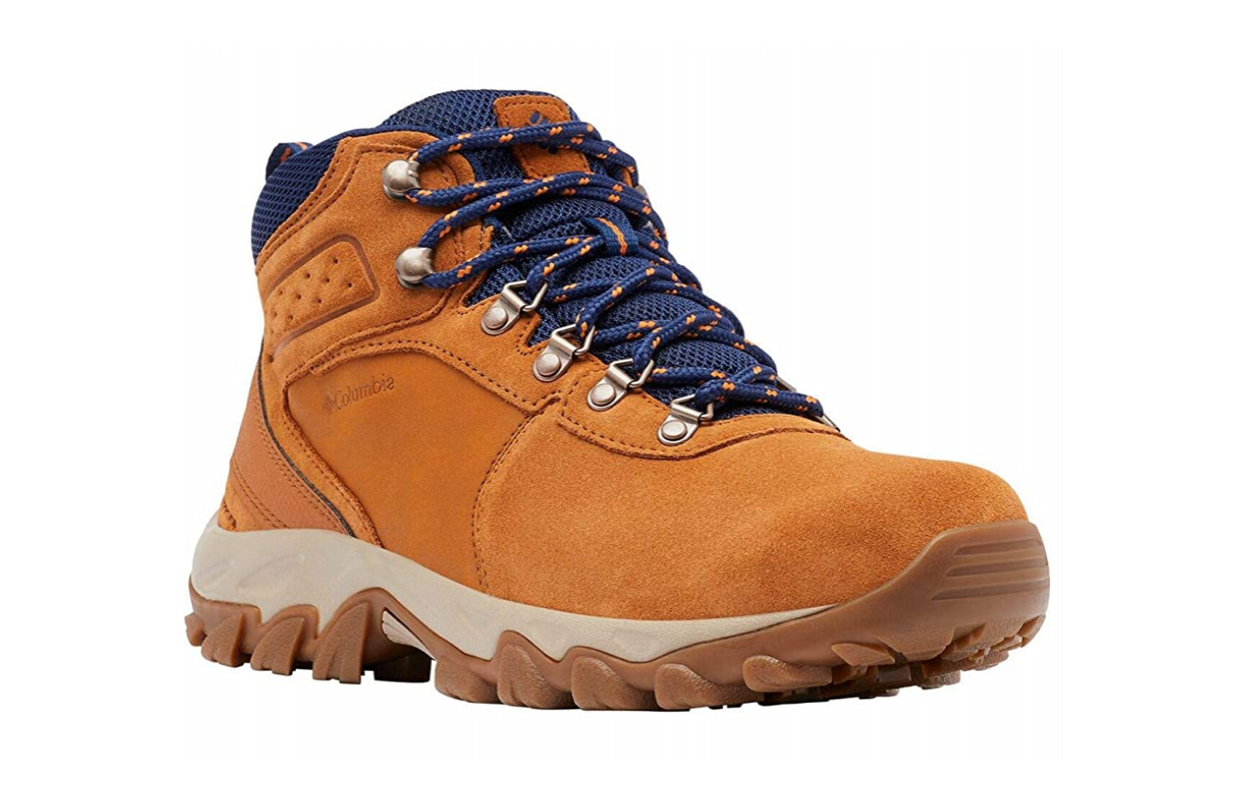 Newton Ridge™ Plus II Waterproof Hiking Boot