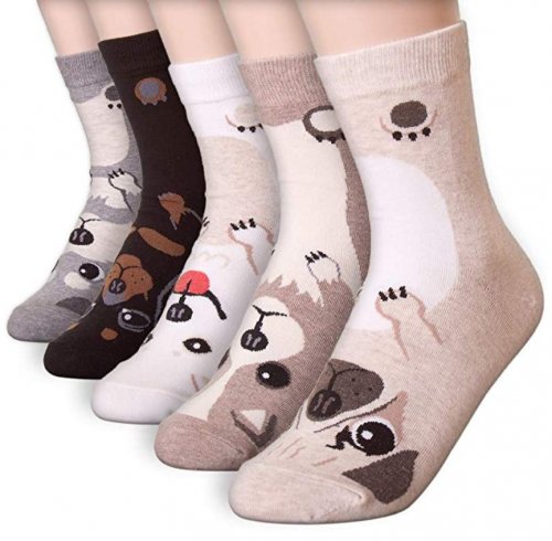 Dani's Choice Animals Best Kids Socks