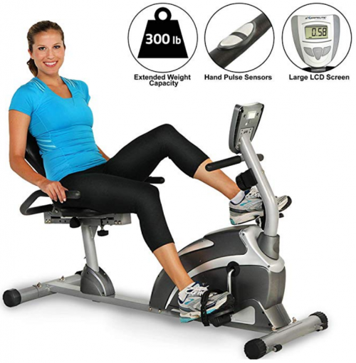 EXERPEUTIC recumbent bike