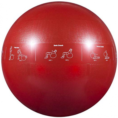 GoFit Stability Ball