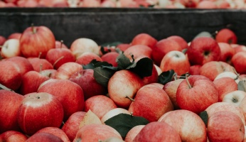 An in depth guide on apple cider vinegar foot soaks in 2018