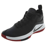  LeBron Zoom Witness II