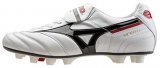 Mizuno Morelia II
