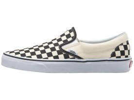 An in depth review of the Vans Asher in 2019