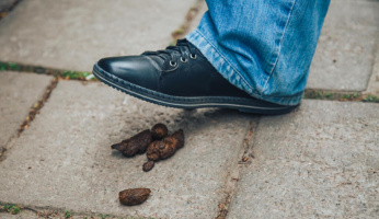 How to Clean Dog Poop Off Shoes Quickly: 7 Hacks That Work!