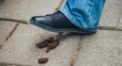 How to Clean Dog Poop Off Shoes Quickly: 7 Hacks That Work!