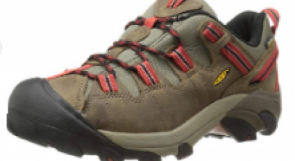 lightweight hiking shoes image