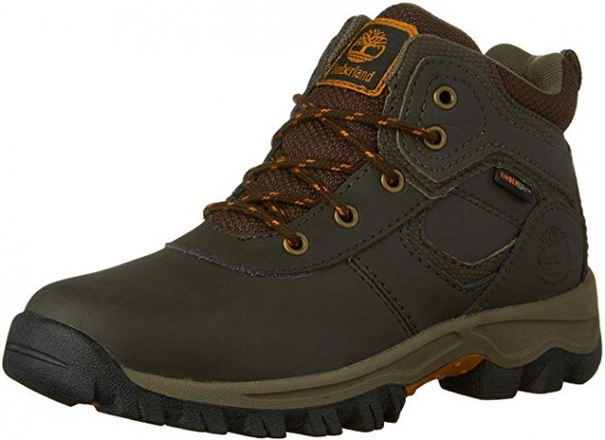 Timberland Mt Maddsen